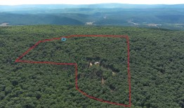 前特朗普顾问塞巴斯蒂安·戈尔卡正在出售他在西弗吉尼亚州的小木屋