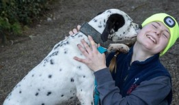 威克洛的阿什动物保护区正在努力为40只获救的狗狗找到新家