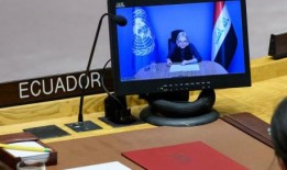 联合国特使概述了伊拉克的发展和持续的斗争