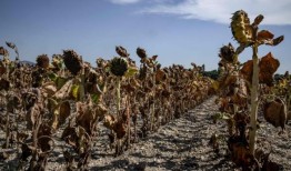 随着夏季的临近，人道主义组织对高温发出警告