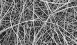 科学家制造出比人类头发细200倍的意大利面条