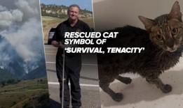从采石场大火中获救的露西猫：“我们在这里经历的象征”