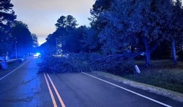 维克森林里的树倒了;闪电击中威洛斯普林斯的谷仓，引发火灾