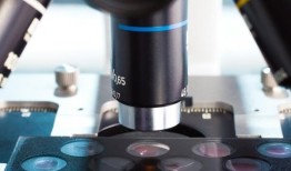 低温电子显微镜有助于观察离子通道的球链失活过程