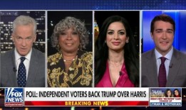 一位民主党代表说，拜登退出后，她“一开始很生气”：“我们被告知”他会留在党内