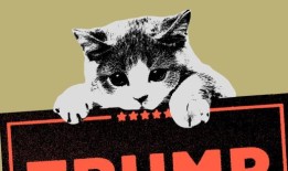 你见过的最糟糕的猫表情包