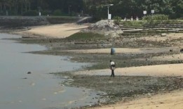 巴西里斯海滩娱乐中心对海水中较高的细菌水平采取了额外的预防措施