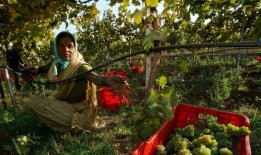 2024年预算：食品加工部门获得更高的拨款