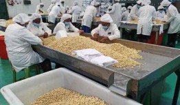 澳大利亚公司获得3.87亿先令的融资以扩大产能