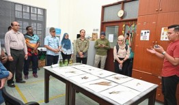 基纳巴卢公园对抗入侵物种