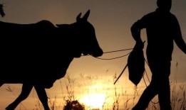 国大党可能会与国大党议员Aaditya Thackeray争夺Worli的席位