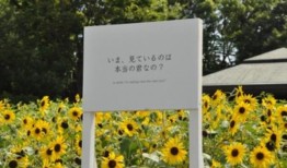 蜷川美香等艺术家的作品与东京湾的4万朵向日葵融为一体