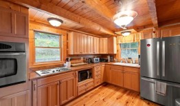 前特朗普顾问塞巴斯蒂安·戈尔卡正在出售他在西弗吉尼亚州的小木屋