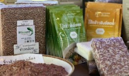 帕塔隆被命名为农产品发展中心