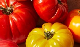 西红柿有多健康？