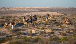 阿尔·加拉耶尔传统狩猎锦标赛开始了
