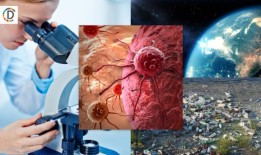 特写：菲律宾依靠食品券来消除饥饿