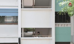 64岁的她在7分钟内爬上40层楼：资深的塔楼跑步者和他们所激励的社区