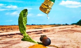 观点｜高级餐饮不能再这样下去了