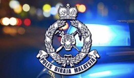 快查：警方是否在柔佛的行动中击毙嫌犯？