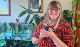 经验丰富的救援人员警告说，养一只海龟是“一项长期的承诺”