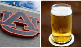 酿造啤酒的学位？奥本大学在全国首创这种课程