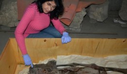 研究人员称，一具带有尖叫表情的埃及木乃伊“可能死于痛苦之中”