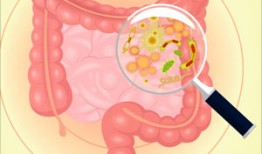 肠道微生物如何影响我们的消化系统健康？