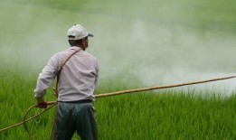 罢工的环保工作者威胁要离开亚马逊地区的亚诺马米人领地