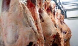 本周牛肉供应商的贸易趋于强硬