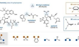 铁盐催化环丙烷羰基的生成