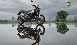 更新耶兹迪冒险戏弄