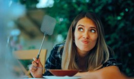 阿利坎特的蚊子改造：不育的蚊子群来对抗夏季害虫