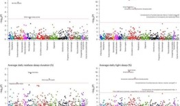 经常睡眠不佳与各种慢性健康问题有关