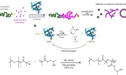 人工细胞合成取得突破
