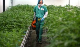 2024年的新法律包括削减所得税