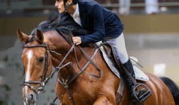 青年党为年轻的赛马爱好者组织夏令营和联赛