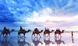 海龟季节电缆海滩车辆坡道关闭将永久延长