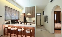 谭在他的花园里建了一个游泳池，以获得一丝宁静。摄影：The Star／Art Chen