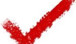 快速检查：海獭有装石头的口袋吗？