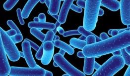 研究人员找到了一种方法来微调制造抗生素的分子装配线