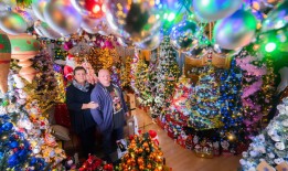 世界上最大的圣诞狂热者打破了他们自己的纪录，他们的房子里有555棵圣诞树，还有超过10万件小装饰品