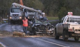 狂风袭击该州，树木压死汽车，一名男子死亡