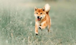 关于散书的10个有趣的事实