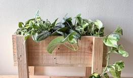 马来西亚自学成才的diy者如何制作自己的升级回收托盘种植机