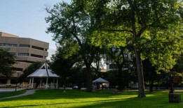 为什么反对特朗普的抗议者在密尔沃基很少见