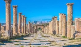 阿尔及利亚通过新的签证计划慢慢向世界开放