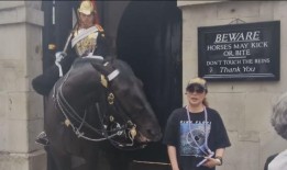 一名游客在白厅被国王卫队的一匹马咬伤后似乎晕倒了