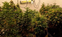 警方在悉尼捣毁了涉嫌活跃的毒品实验室