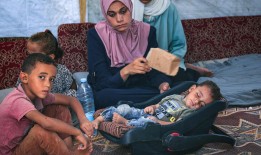 采摘海水仙花被处以重罚